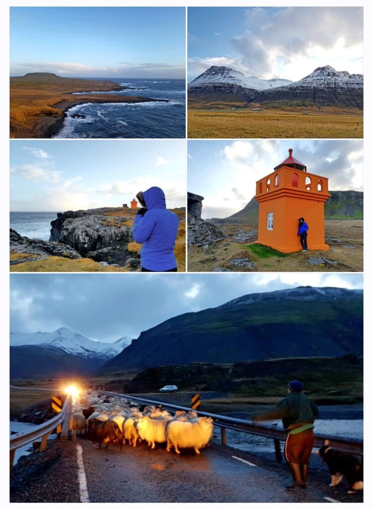 Fiordos del Este de Islandia de Vallanes a Höfn - Ruta del día 5 (3)