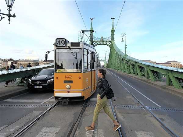 Puente de la Libertad, el más bonito de Budapest - Ruta por el Barrio Judío de Budapest + Crucero por el Danubio - Ruta por Budapest en 4 días (8)