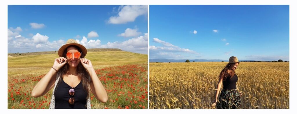 Ver campos de amapolas y trigo en Segovia - Las Hoces del Duratón y sus pueblos en 3 días - Ruta por Segovia (10)