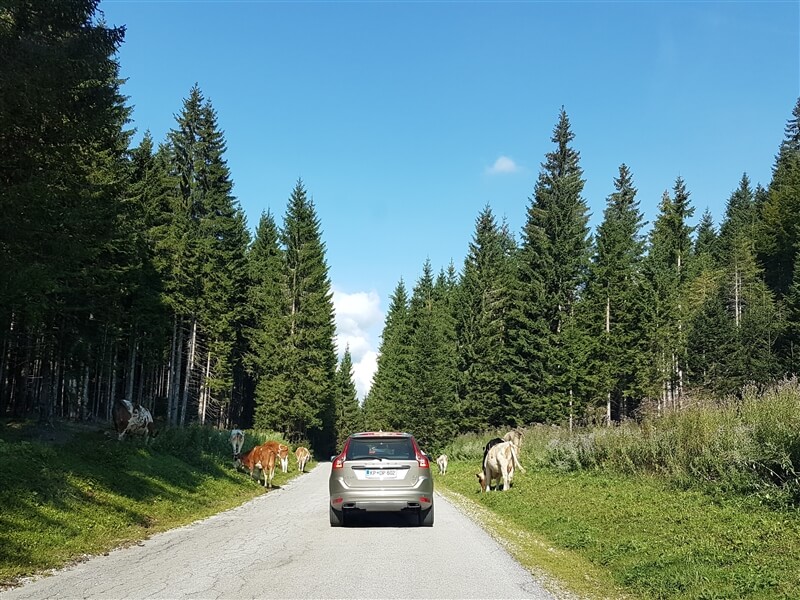 Normativa carreteras de Eslovenia