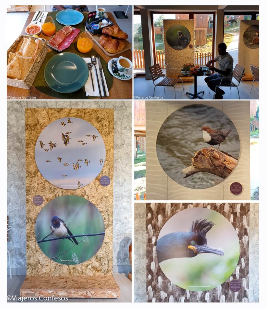 Cabañas con jacuzzi en Galicia - Nidos de Carnota - La conjunción perfecta entre glamping y birding (2)