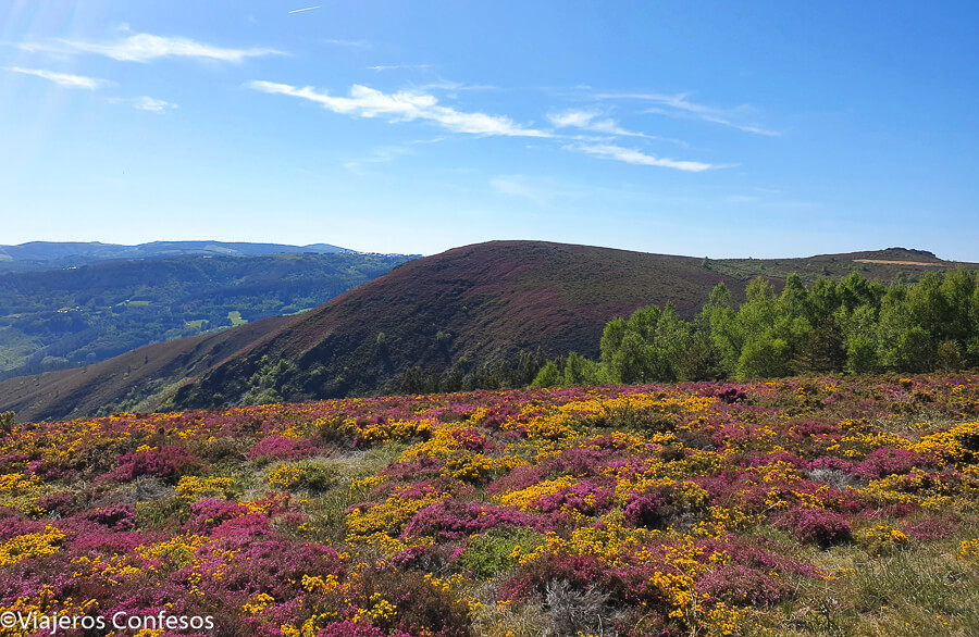 Rutas por A Fonsagrada - Cascadas, embalses y senderismo en Lugo (2)