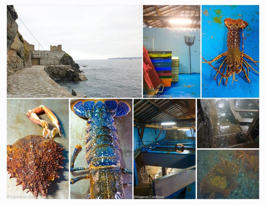 Qué hacer en Luarca - Visita la única cetárea natural en activo de Asturias