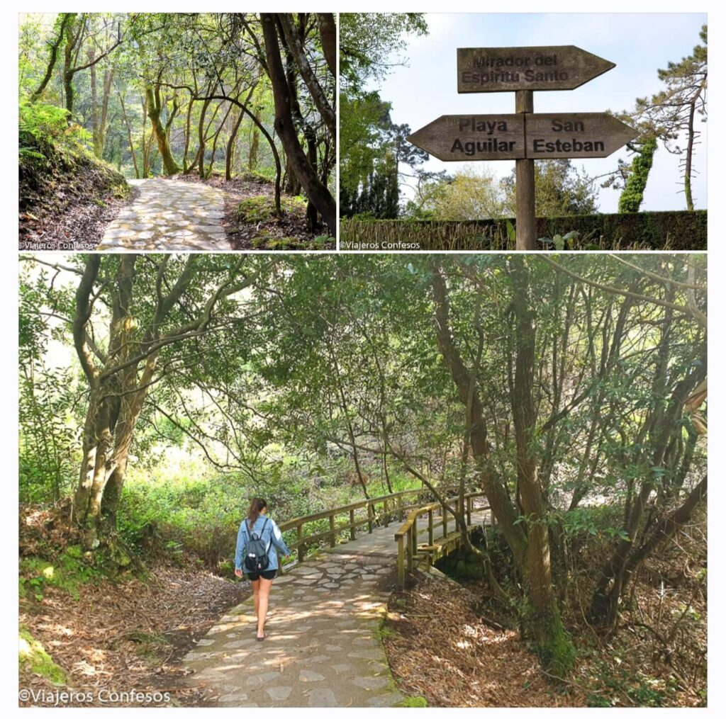 Bosque de Reborio - Senda de los Miradores en Muros de Nalón - Litoral asturiano (5)