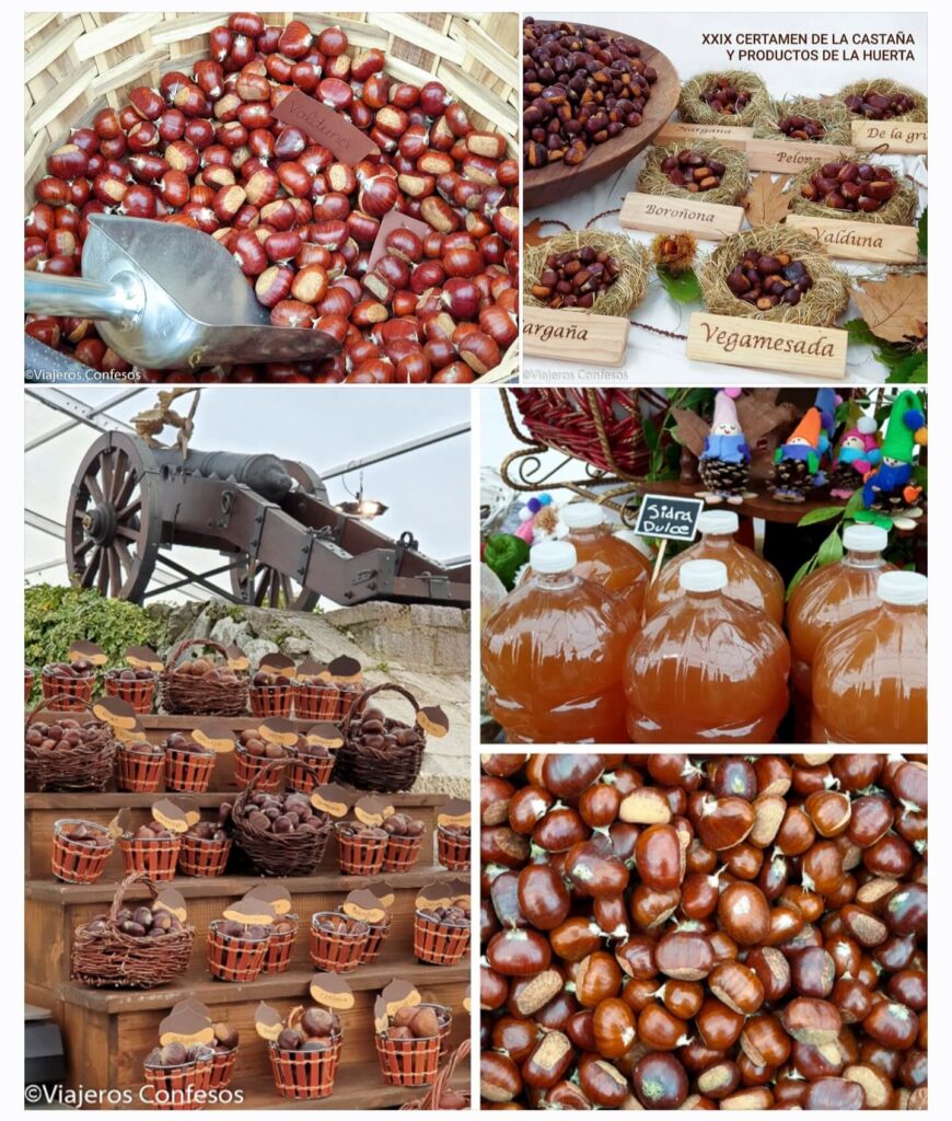 Certamen de la Castaña en Arriondas - Festival gastronómico en el Oriente de Asturias (1)