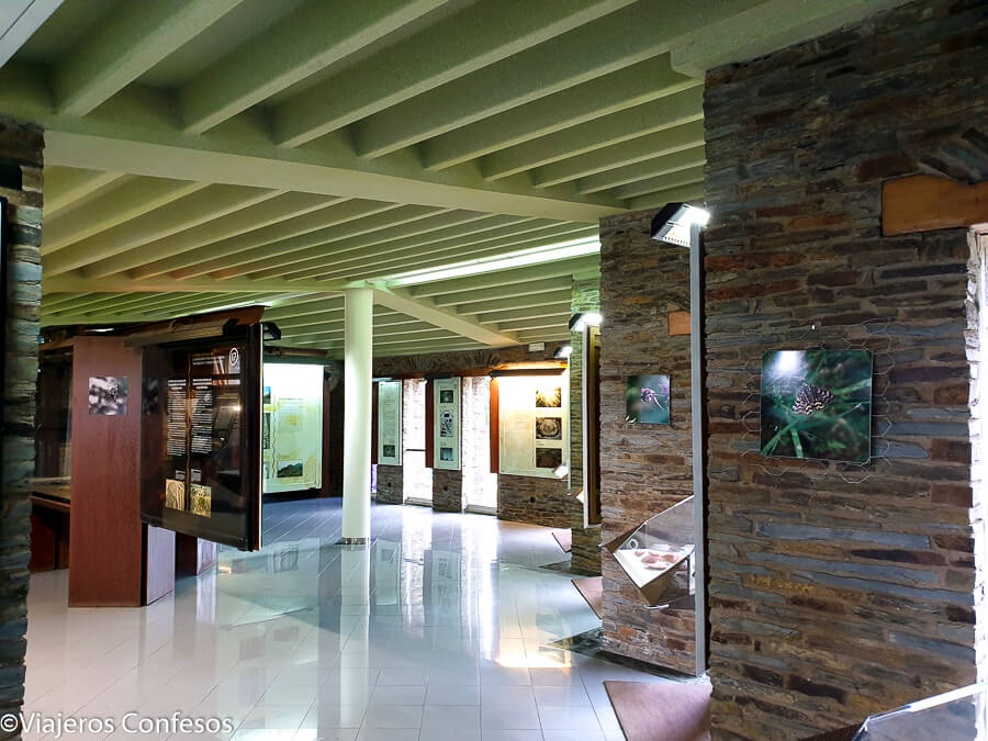 Museo del Castro de Coaña - De paseo por el Castro de Coaña Cuaña - Occidente asturiano (2)