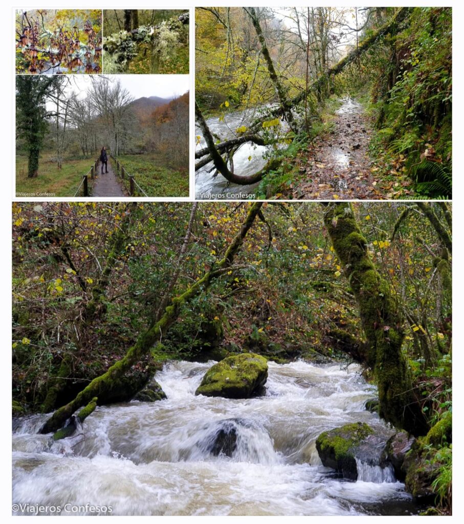 Info para organizar una visita a la Reserva de la Biosfera de Munieḷḷos (2)