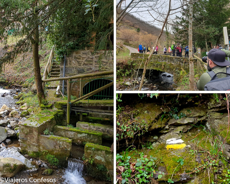 Inicio de Las Foces del Pino - Ruta de senderismo fácil en Asturias (3)
