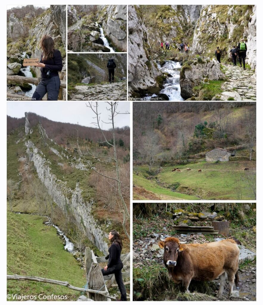 Info útil para hacer Las Foces del Pino - Ruta de senderismo fácil en Asturias (5)