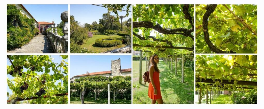 Qué ver en Cambados - Visita el Pazo de Fefiñáns - Cuna del Albariño en Cambados (4)