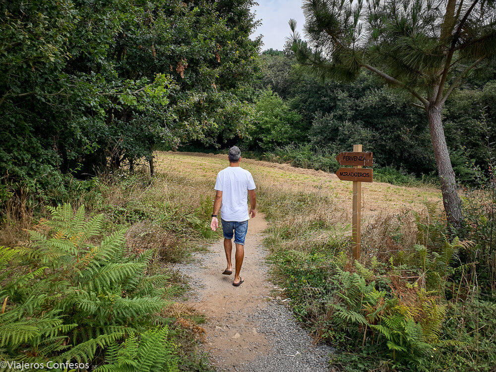 La ruta a la Fervenza do Toxa: senderismo entre bosques y agua - Fervenza do Toxa - Ruta para ver la cascada más alta de Galicia (1)