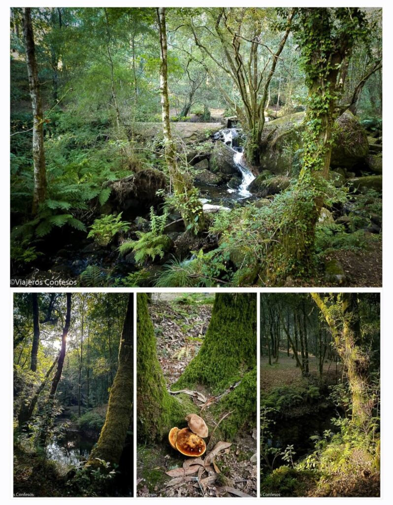 Ruta de los molinos del río Barosa - Planes en Pontevedra (1)