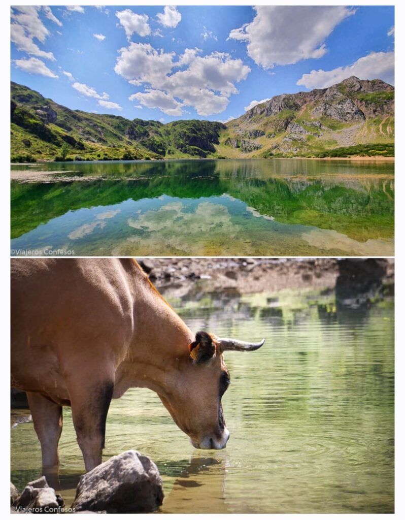Info útil para la Ruta Lago del Valle - Senderismo en el Parque Natural de Somiedo (5)