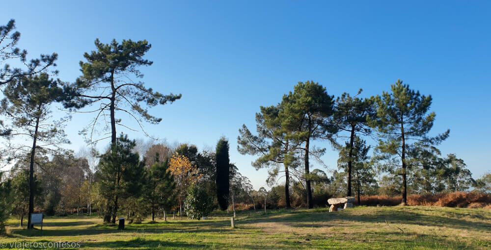 Monte Areo: la necrópolis más grande de Asturias - 10 sendas en Gijón para caminar al aire libre - Planes en Gijón (6)