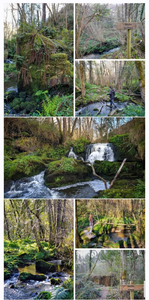 Molín Nuevu, Molín de La Peña, Molinos Hevia, Bastania y Merón - Molinos del Río Merón - Ruta de gran valor etnográfico en Asturias (2)