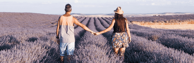 Campos de lavanda en Tiedra, Valladolid - Viajeros Confesos