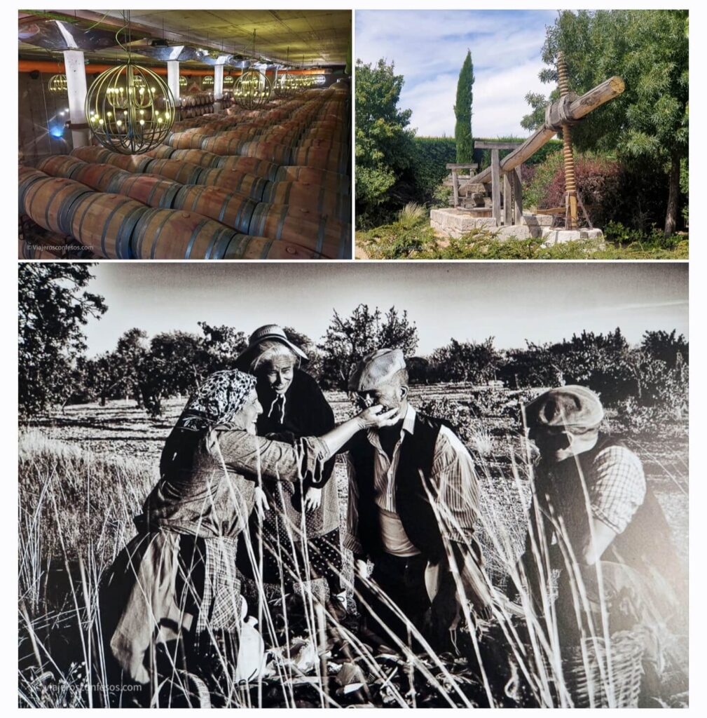 Bodegas subterráneas de Toro - Ruta del Vino de Toro - Turismo enológico a orillas del Duero (2)