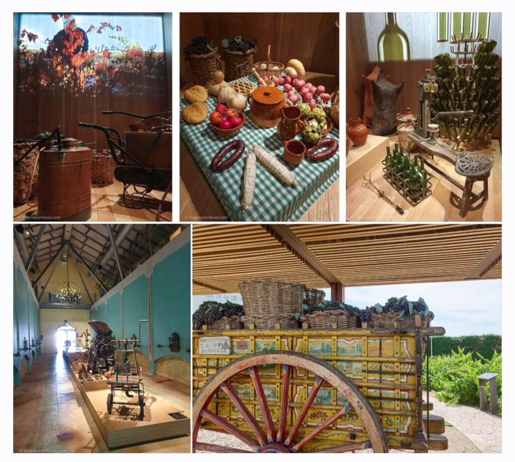 Museo del Vino Pagos del Rey - Ruta del Vino de Toro - Turismo enológico a orillas del Duero (4)