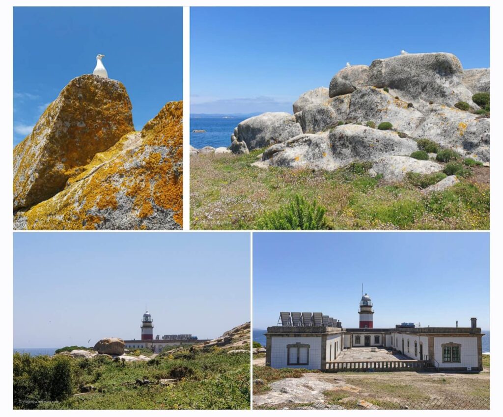 Ruta do Faro de Sálvora y la historia del "Titanic gallego" - Isla de Sálvora - Un paraíso gallego menos conocido de las Illas Atlánticas (3)