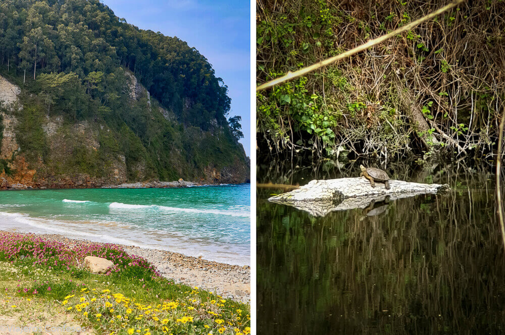 Playa y área recreativa de San Pedro de La Ribera - Paisaje Protegido de la Costa Occidental de Asturias (3)