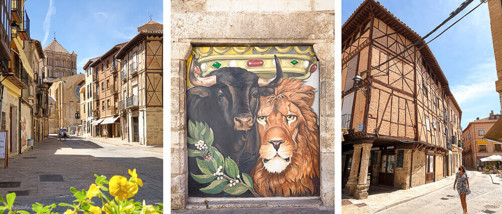 Calle Mayor de Toro - Qué ver en Toro - Ruta cultural para combinar con la visita a las bodegas (3)