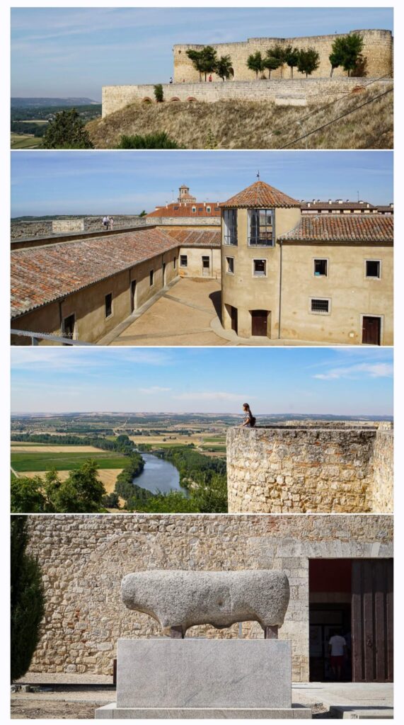 Alcázar de Toro y Oficina de Turismo - Qué ver en Toro - Ruta cultural para combinar con la visita a las bodegas (7)