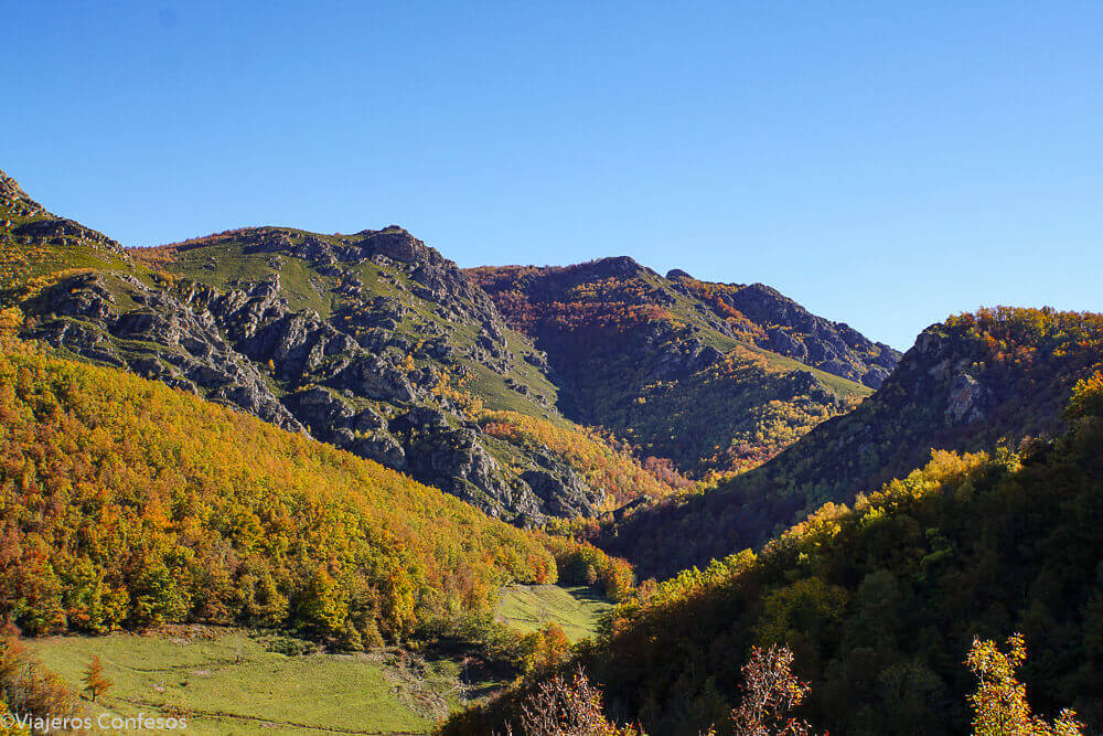 Ruta en otoño a la Braña de Las Cadenas por el Hayedo de Montegrande - Asturias (1)