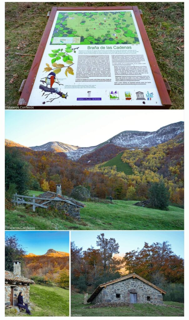 Ruta a la Braña de Las Cadenas por el Hayedo de Montegrande - Rutas fáciles en Asturias (2)