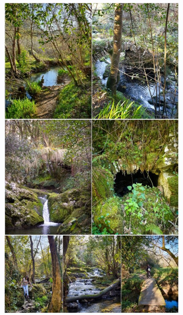 Cómo es la Senda del Río Guadamía Ruta Samuel Cachero - Oriente de Asturias (1)