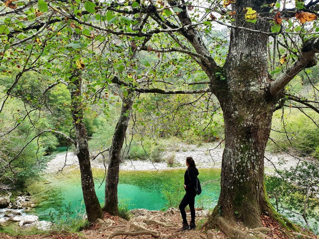 Ruta a la Olla de San Vicente en otoño invierno: una de las sendas junto al río más bonitas de Asturias (3)