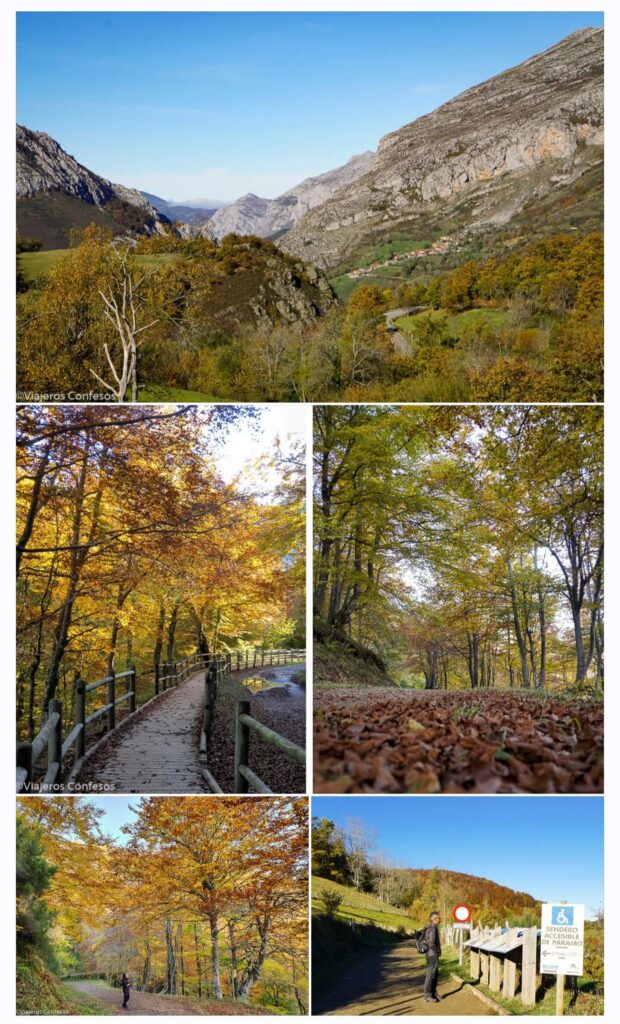 Ruta accesible a la Cascada del Xiblu por el Hayedo de Montegrande - Asturias (7)