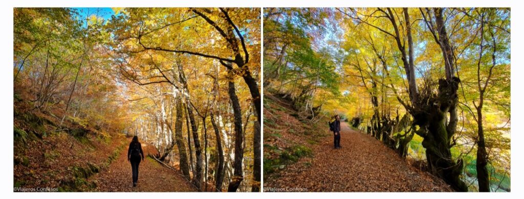 Tabayón del Mongallu - Cascada y hayedo en otoño - Rutas por Asturias (5)
