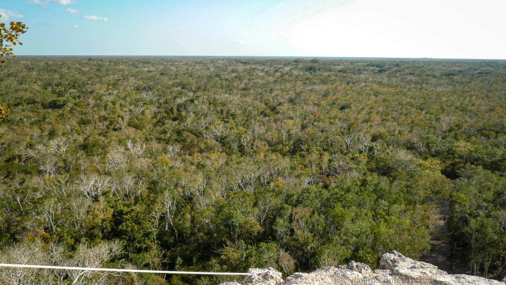 Pirámide de Coba - Qué ver en la Península de Yucatán desde la Riviera Maya -México- Viajeros Confesos (22)