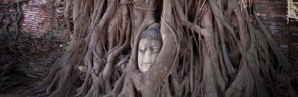 Qué ver en Ayutthaya en un día (5)