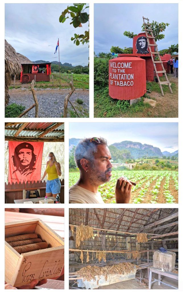 Excursión a plantación de tabaco en Viñales