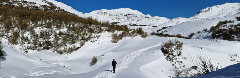 Camino de Wamba - Ruta fácil con raquetas de nieve en Asturias (1)