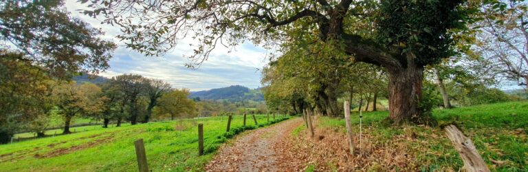 Ruta de los Covarones del Río Tuernes - Rutas fáciles en Asturias (4)