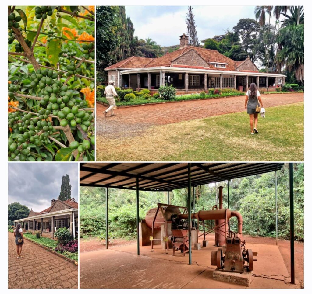Visita la Casa de Karen Blixen - Qué ver en Nairobi por libre -y qué no- (4)