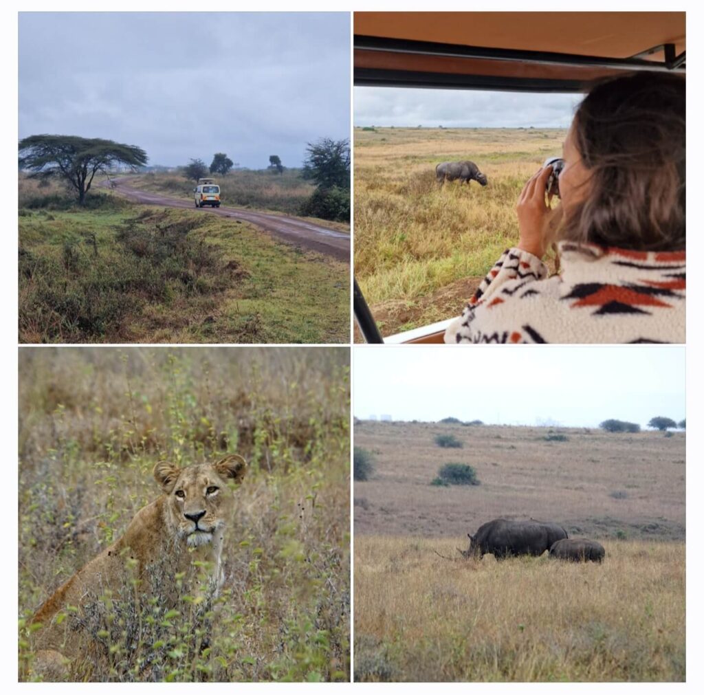 Safari por el Parque Nacional de Nairobi - Qué ver en Nairobi por libre -y qué no- (6)
