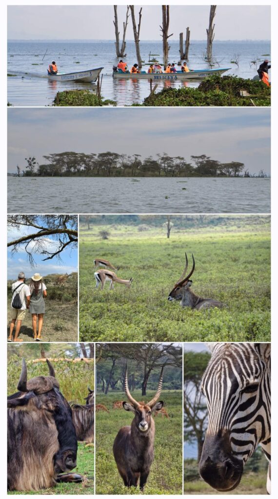 Safari a pie por Crescent Island - opiniones