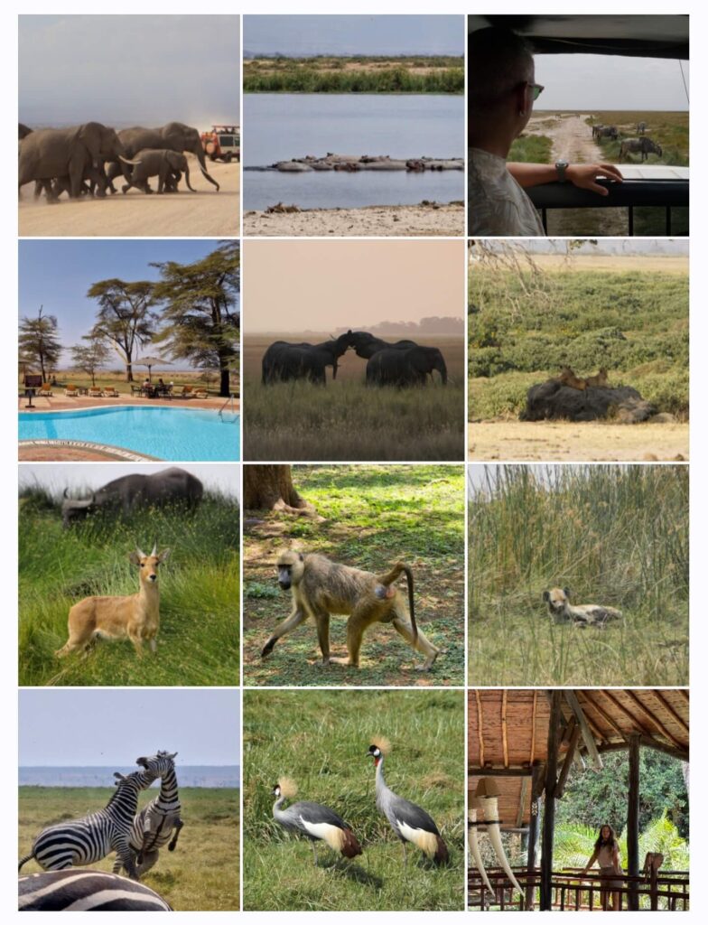 Safari por Amboseli - ¿merece la pena