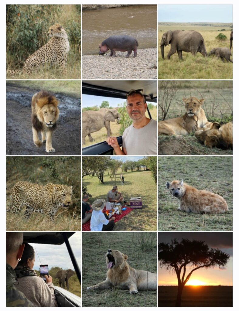 Safari por Masai Mara barato - qué saber antes de ir
