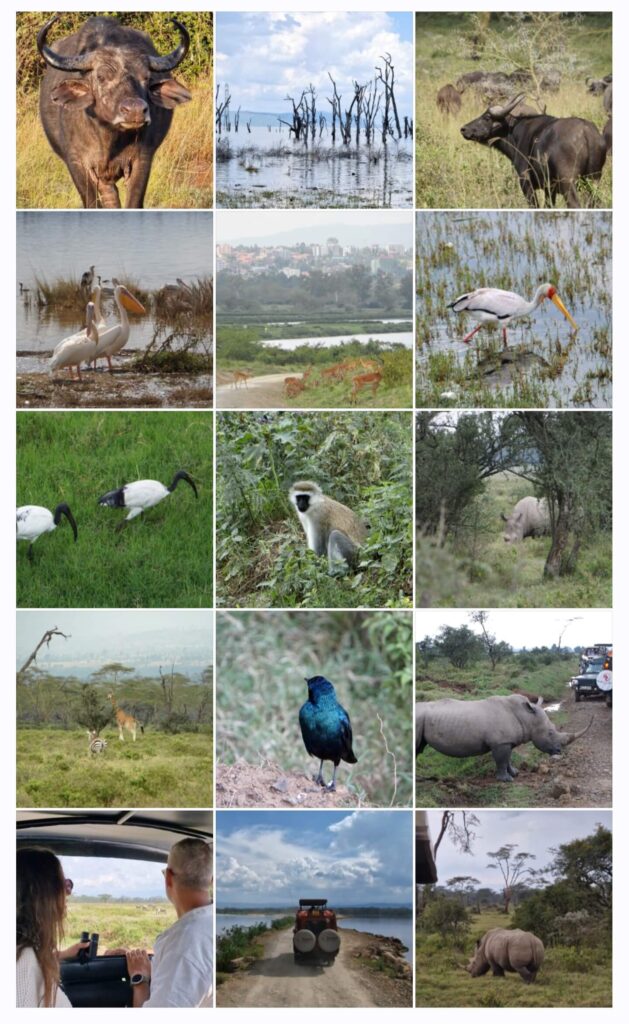 Safari por Nakuru y Lago Naivasha - opiniones