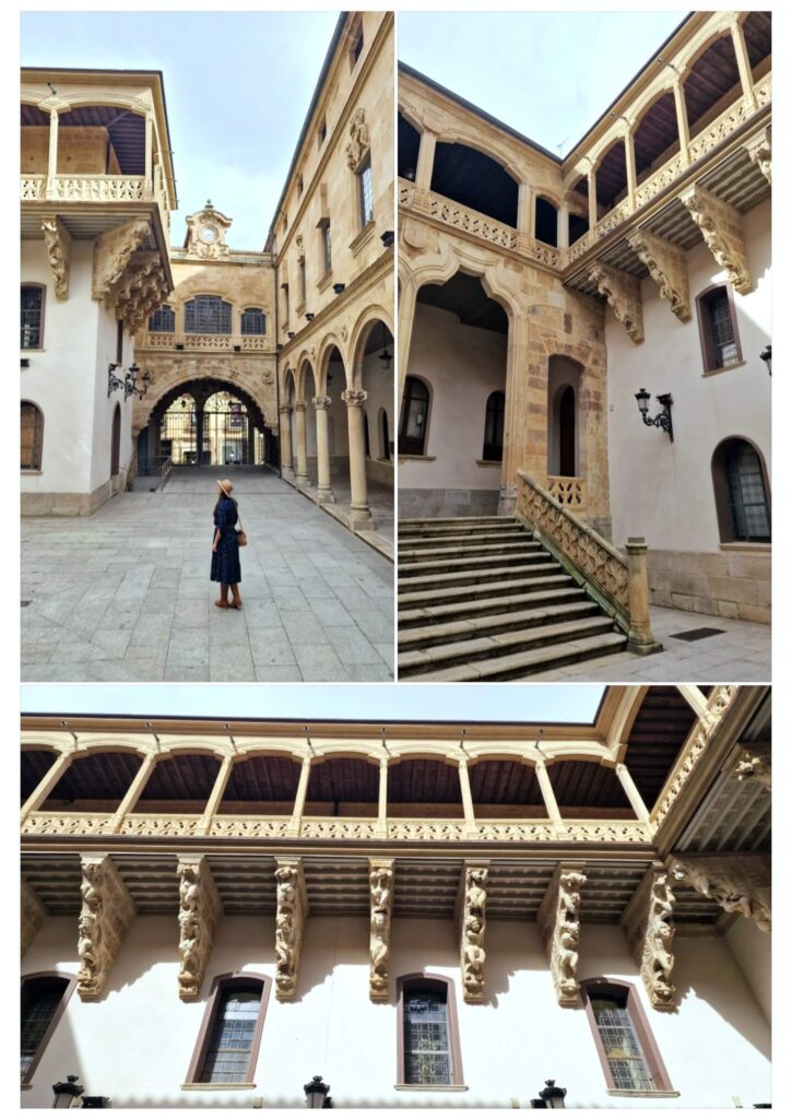 Palacio de la Salina - Guía para visitar Salamanca en un fin de semana cómo llegar, qué ver y consejos prácticos (13)